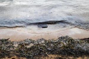 Aguas contaminadas por petróleo