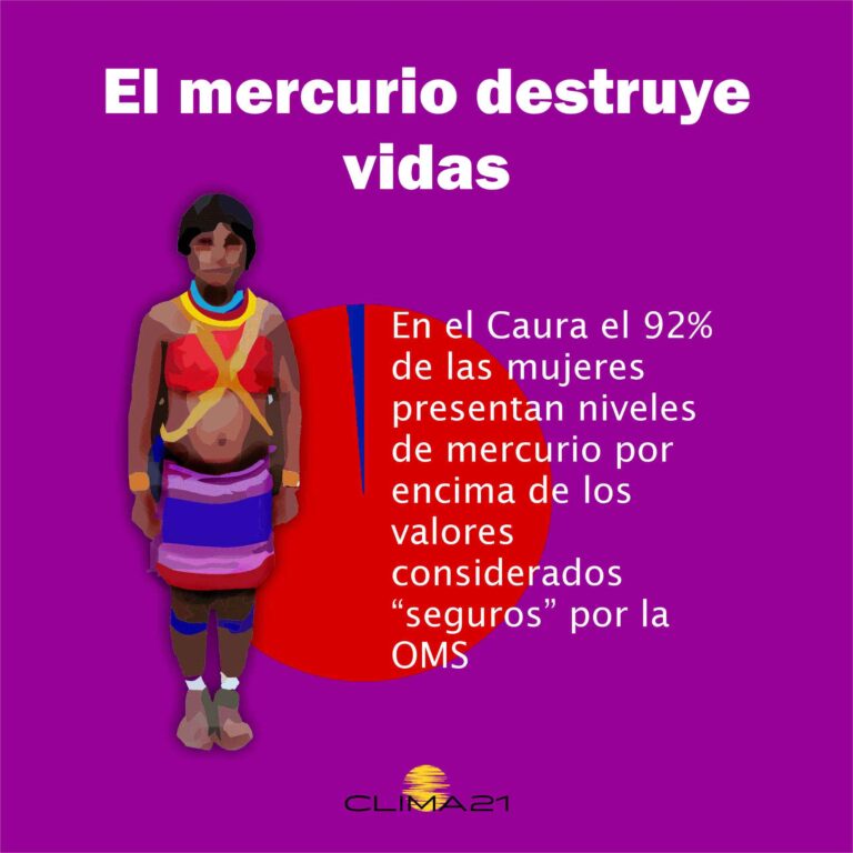 Efecto del mercurio en el CAura