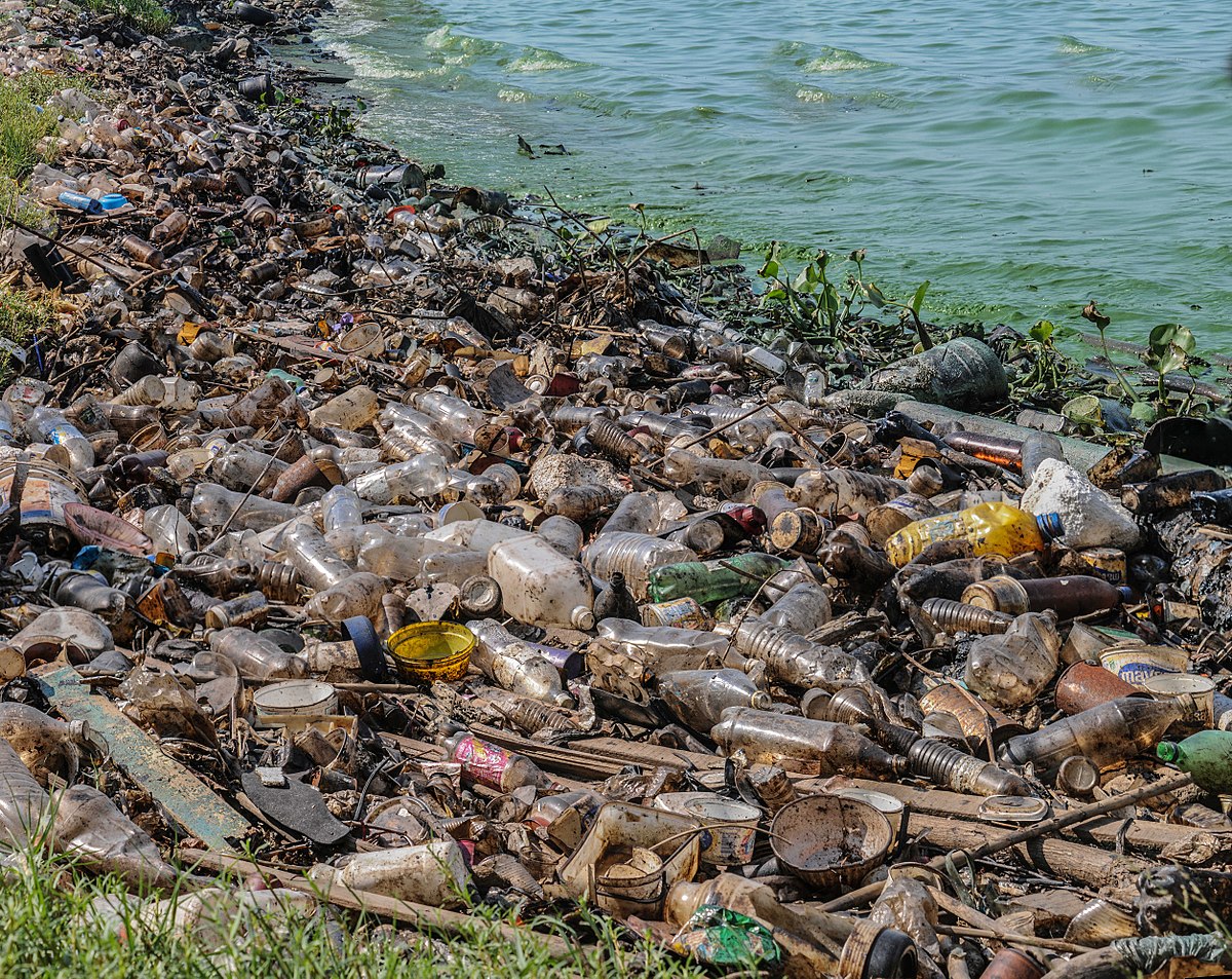 Contaminación por plásticos en el Lago de Maracaibo