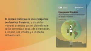Resolución CIDH REDESCA