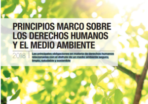 Principios Marco sobre los Derechos Humanos y el Medio Ambiente