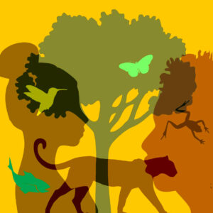 Vida silvestre i derechos humanos