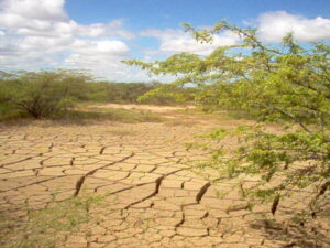 Desertificación Venezuela
