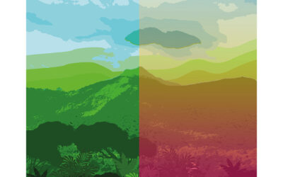 Vanishing Forests: Deforestation in Venezuela 2016-2021