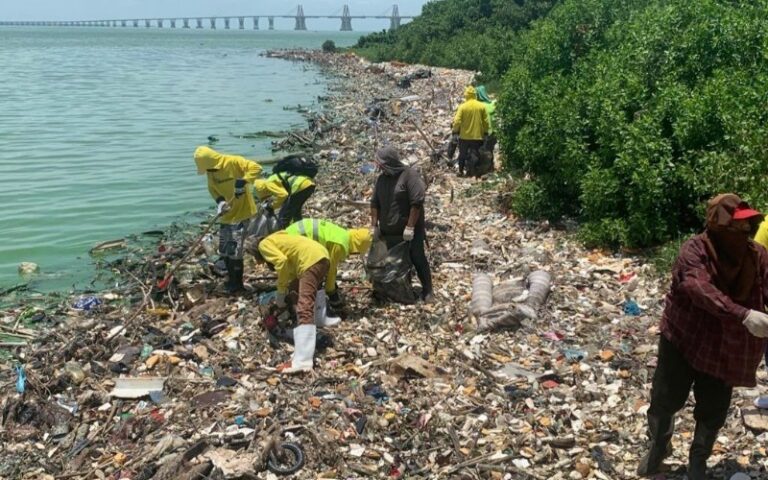 Pesca de plástico