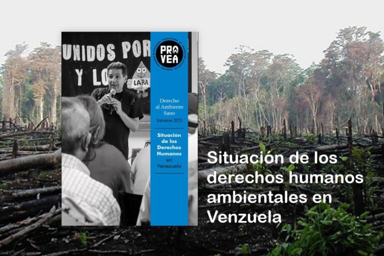 Informe Provea Ambiente Sano
