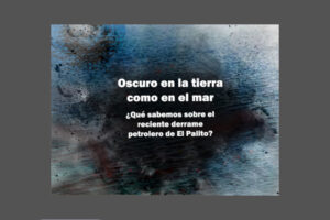 Mancha negra