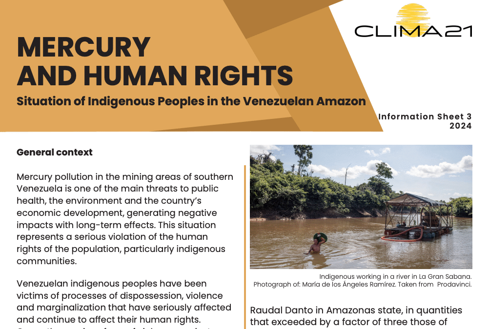 Mercury and human rights: Situation of Indegenous Peoples in the Venezuelan Amazon
