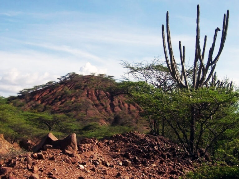 Cerro Saroche, Lara, Venezuela