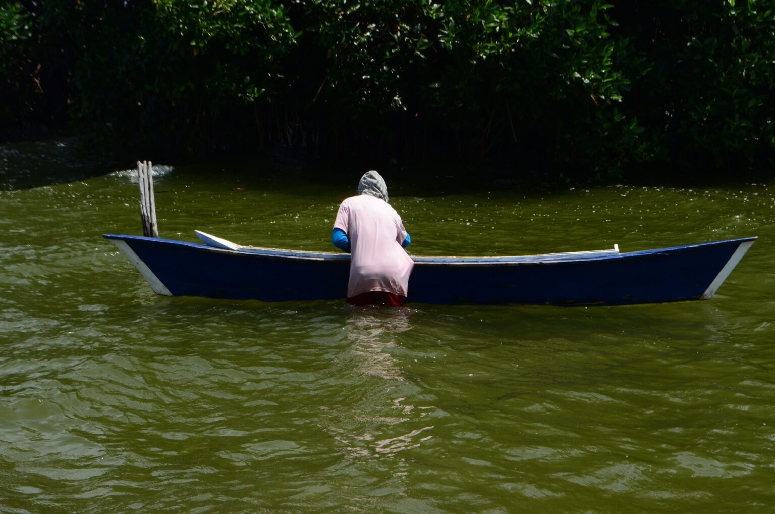 Lago de Maracaibo con verdín