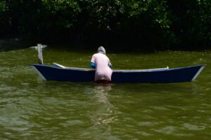 Lago de Maracaibo con verdín