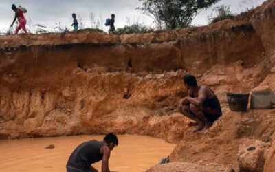 El Proyecto de Ley Orgánica de Minas institucionaliza el ecocidio y el blanqueo del «Oro de Sangre» en Venezuela