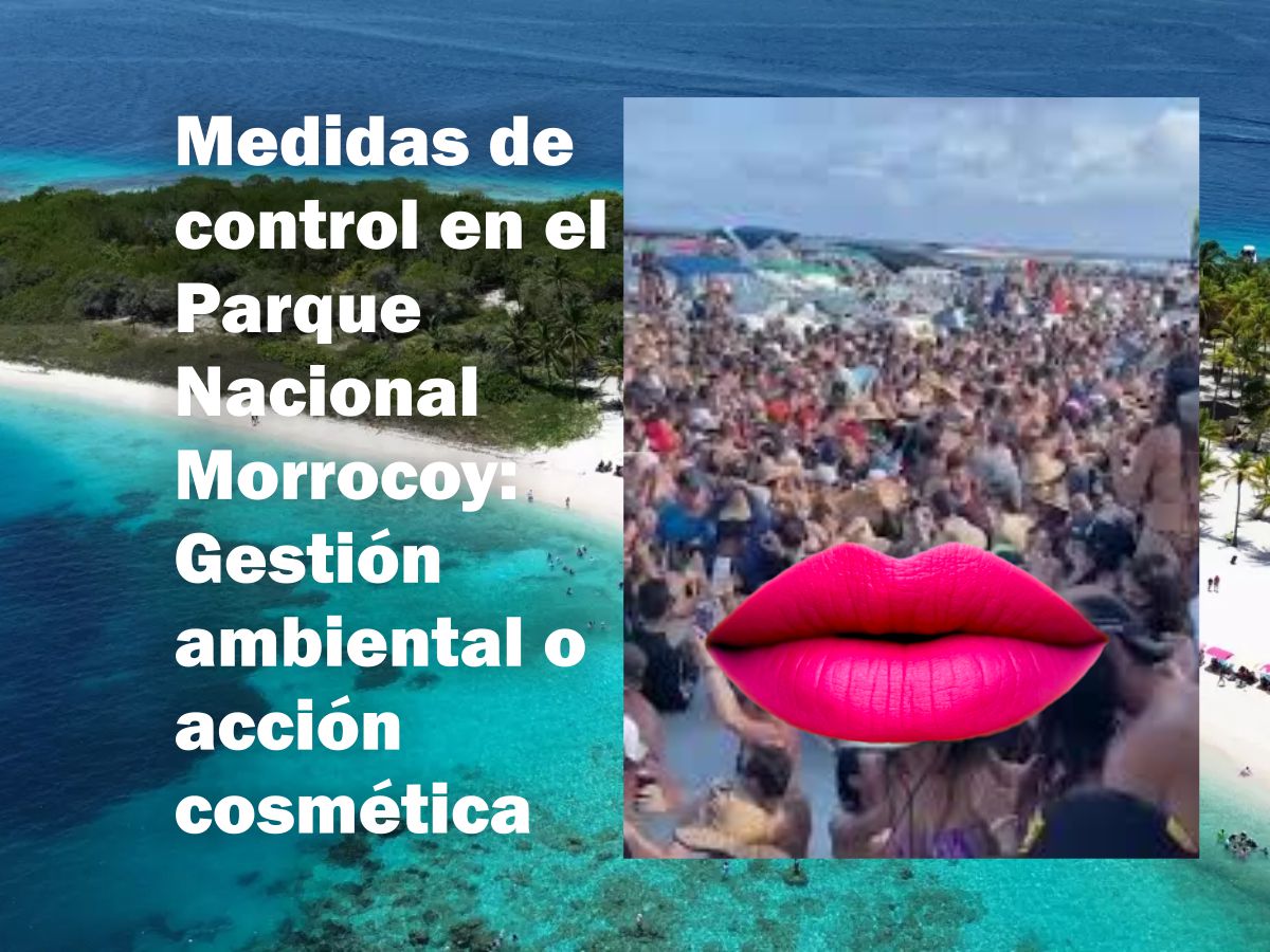 Gestión ambiental o cosmética