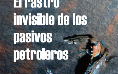El rastro invisible: pasivos petroleros y la agonía de nuestras costas