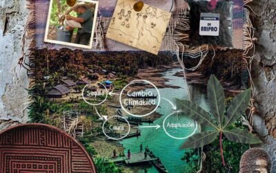 El cambio climático desde la perspectiva de los pueblos del Bajo Caura, estado Bolívar